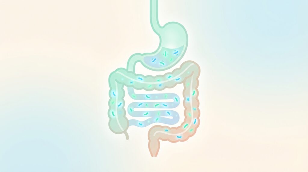 아침마다 ‘물만 나오는 설사’, 장염일까 유산균 밸런스일까? 30대 대리님의 장 트러블 정리법